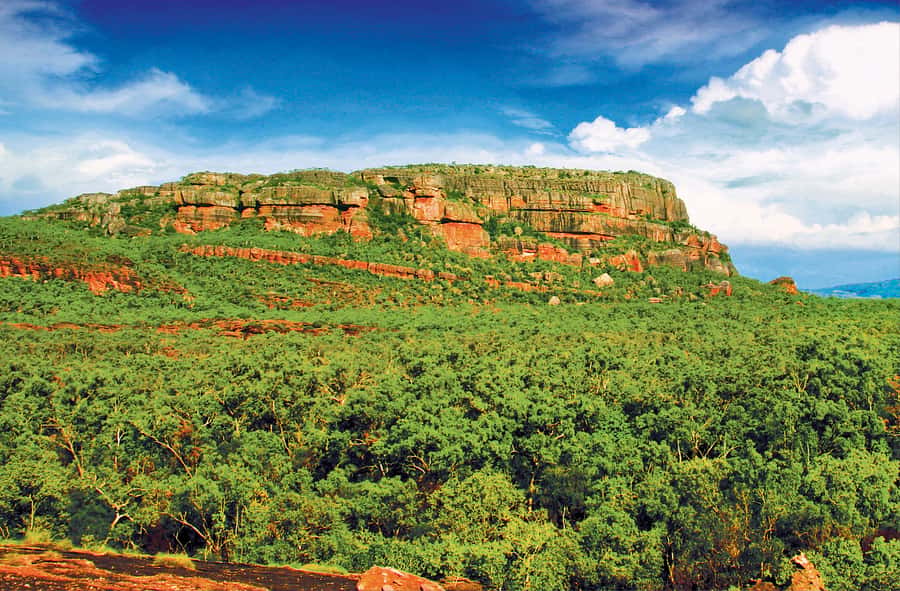 Darwin: Kakadu & Nourlangie Day Trip Plus Billabong Cruise - Who should book this Kakadu day trip?