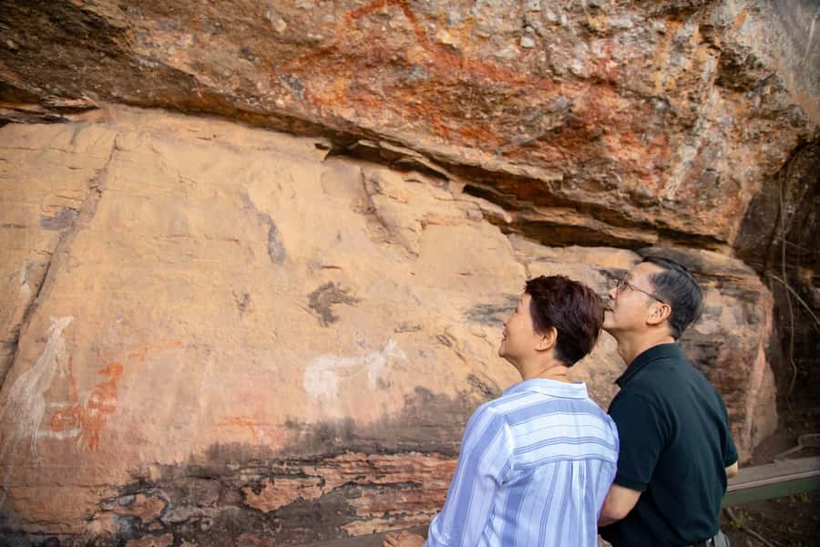 Darwin: Kakadu & Nourlangie Day Trip Plus Billabong Cruise - Optional 50-minute scenic flight: worth it, or skip it?