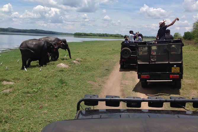 Day Tour from kandy to Sigiriya, Dambulla & National Park safari. - Key reasons you’ll like this day trip