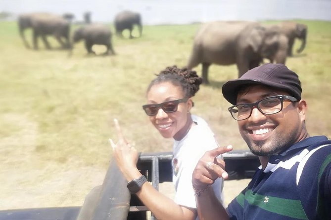 Day Tour from kandy to Sigiriya, Dambulla & National Park safari. - Minneriya National Park safari: elephants are the goal, not a guarantee