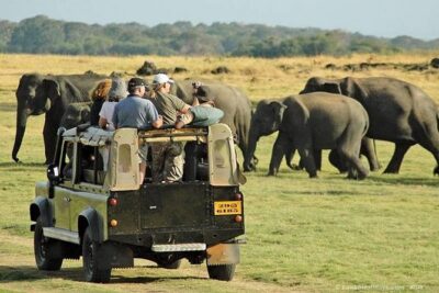 Day Tour from kandy to Sigiriya, Dambulla & National Park safari. - Sigiriya Rock Hide: the UNESCO climb and what to plan for