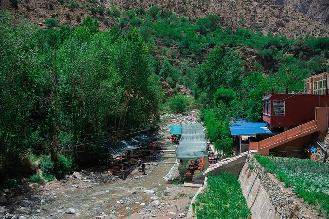 Day trip - Atlas Mountains Ourika Valley Waterfall From Marrakech - The Ourika-to-Marrakech Return: One Last Look at the Atlas