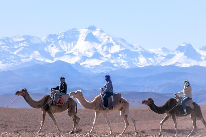 Day Trip:Berber Villages and 4 Valleys Atlas Mountains &Waterfu l& camel Ride - Key Highlights You’ll Actually Care About