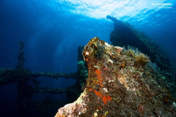 Day Trip certified divers - 3 Dives in Tulamben (pick-up & drop-off included) - How the day stays organized: equipment, lunch breaks, and refresher help