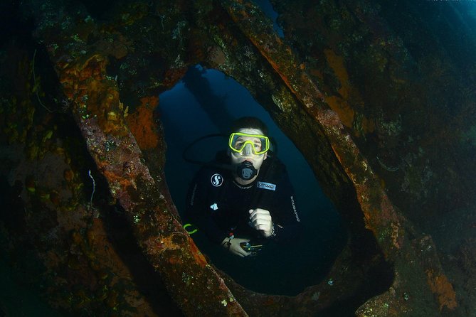 Day Trip certified divers - 3 Dives in Tulamben (pick-up & drop-off included) - Price and value at $149.80: what you’re actually paying for