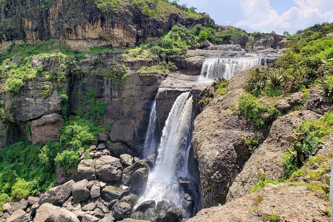 Day Trip From Addis Ababa See Historical Monastery,Stunning Nature,Animals,Birds - Price and value: is $90 a good deal?