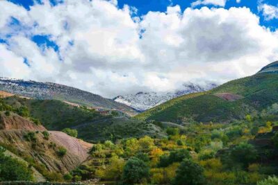 Day Trip from Marrakech Explore the Atlas Mountains and 4 Valleys - Price and Value: What You’re Paying For (and Why It Adds Up)