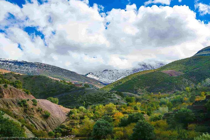 Day Trip from Marrakech Explore the Atlas Mountains and 4 Valleys - Price and Value: What You’re Paying For (and Why It Adds Up)