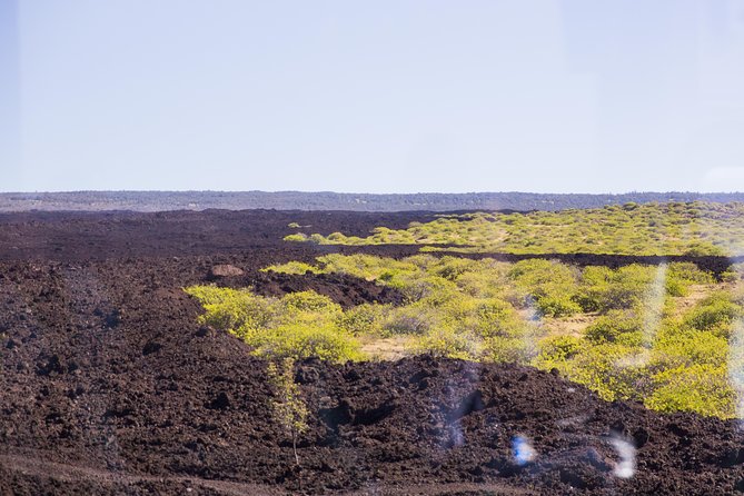 Day Trip from Oahu to Hilo: Volcano Adventure - The Oahu-to-Hilo Jump That Makes This Tour Special