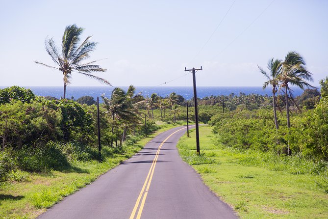 Day Trip from Oahu to Hilo: Volcano Adventure - Hilo Town, Banyan Streets, and the Japanese Gardens Moment