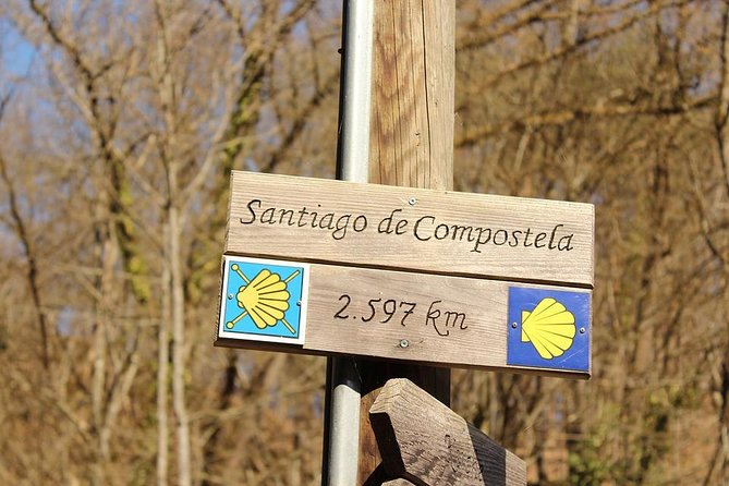 Day Trip from Porto to Santiago de Compostela and Valença - Lunch in Santiago: eat local without losing the group rhythm