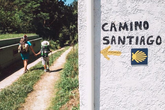 Day Trip from Porto to Santiago de Compostela and Valença - Comfort and logistics: minibus size, A/C, and seat choice