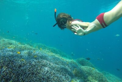 Day Trip Gili Trawangan, Gili Meno, Gili Air (Depart Lombok) - The morning opener: Gili Air Fish Garden snorkeling
