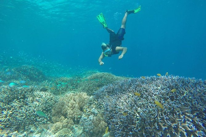 Day Trip Gili Trawangan, Gili Meno, Gili Air (Depart Lombok) - Price and logistics: what you’re really paying for