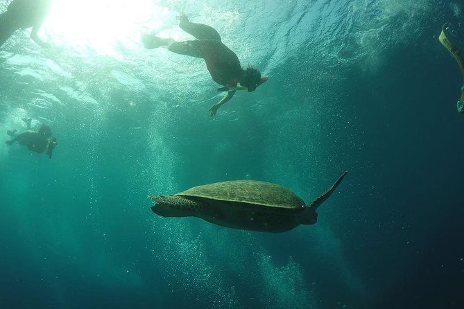 Day Trip Gili Trawangan, Gili Meno, Gili Air (Depart Lombok) - What to expect at each stop, in plain terms