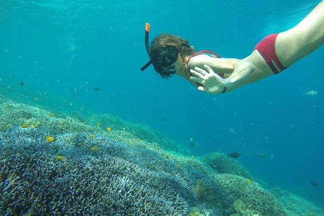 Day Trip Gili Trawangan, Gili Meno, Gili Air (Depart Lombok) - The morning opener: Gili Air Fish Garden snorkeling