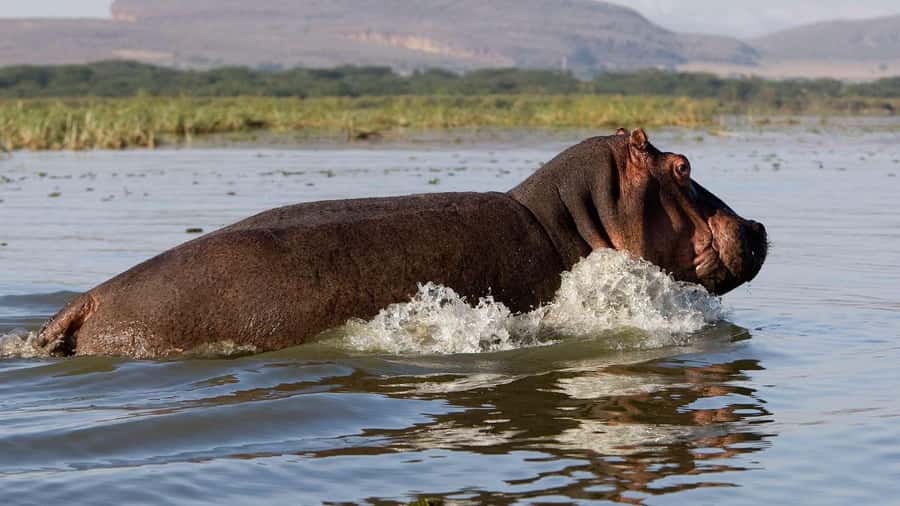 Day Trip: Hell's Gate Bike Ride & Lake Naivasha Boat Ride - Nairobi to the Rift Valley: why the drive matters