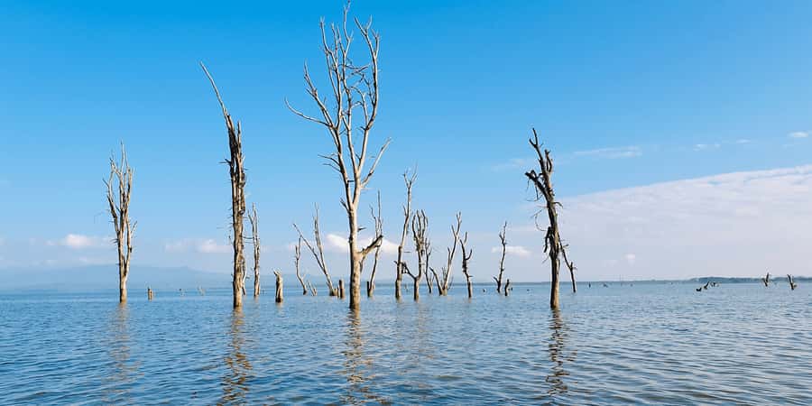 Day Trip: Hell's Gate Bike Ride & Lake Naivasha Boat Ride - Price and logistics: what the $34 includes—and what usually isn’t
