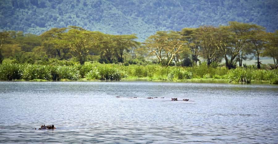 Day Trip: Hell's Gate Bike Ride & Lake Naivasha Boat Ride - Who should book this day trip (and who should rethink the bike)