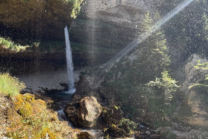 Day Trip in Triglav National Park from Bled - Zelenci Nature Reserve: where the Sava’s longest river story starts