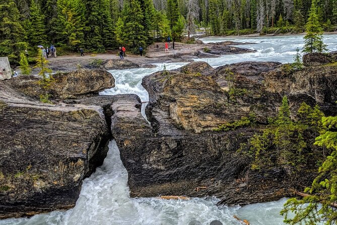 Day Trip: Lake Louise, Moraine Lake, Emerald Lake, Banff - Yoho National Park: When the Fossil Story Meets the Rockies