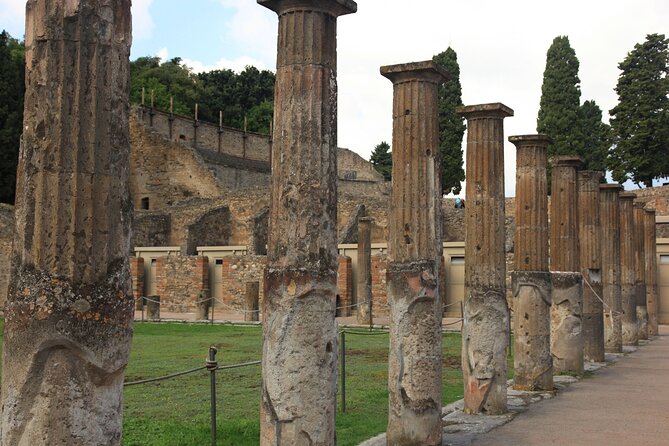 Day Trip of Pompeii, Herculaneum and Vesuvius from Naples - Vesuvius National Park and the Good Giant climb