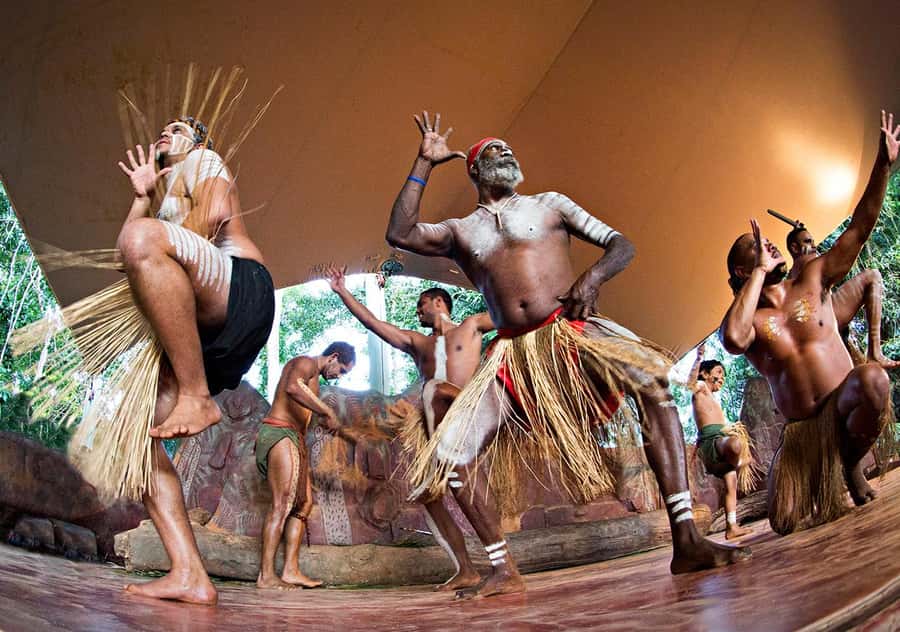Day Trip: Rainforest & Aboriginal Culture Tour - Price and timing: is $84 good value for a 10-hour packed day?