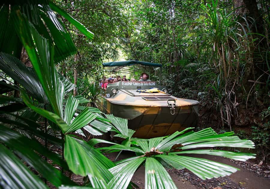Day Trip: Rainforest & Aboriginal Culture Tour - Who should book this Kuranda Rainforest and Aboriginal Culture day trip?