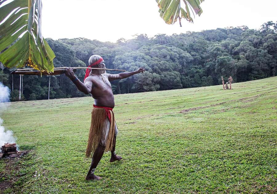 Day Trip: Rainforest & Aboriginal Culture Tour - Should you book this tour?