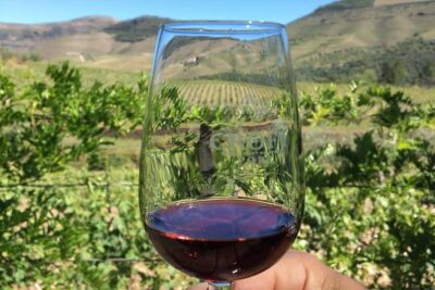 Day Trip Through the Enchanting Douro Valley #DuckSideOfPorto - Douro River stop: coffee, farmer’s Port, and a local rhythm