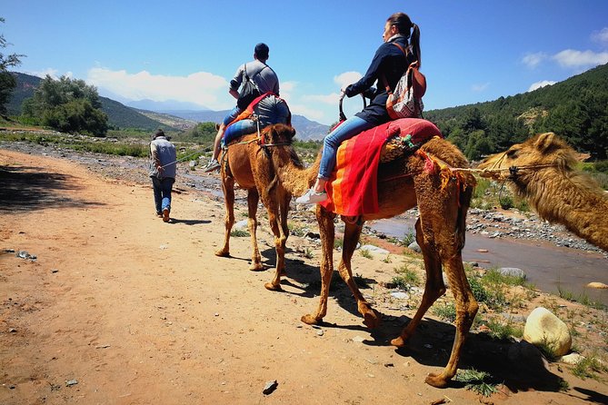 Day trip to Atlas mountains waterfall & Agafay camel Ride experience - From Marrakech to the Atlas: What Your Morning Actually Looks Like