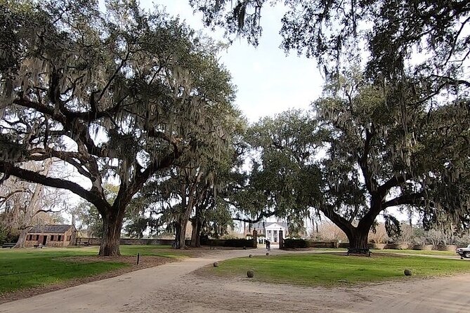 Day Trip to Charleston#5: Bus Tour,Boone Hall, City Market, Lunch - Who This Tour Suits Best (and Who Should Choose Another Option)