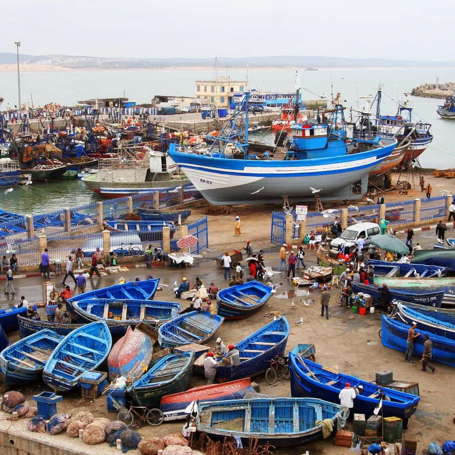 Day Trip To Essaouira From Marrakech With Guide - Why Essaouira Feels Like a Break from Marrakech