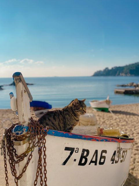 Day Trip to France with Girona Visit from Barcelona - Crossing into France without hassle: arriving in Collioure