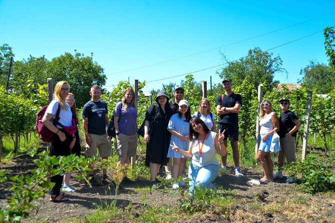 Day Trip to Kakheti Wine Region Including 9 Wine Tastings - Sagarejo Family Winery: Qvevri Wine and Three Specific Tastes