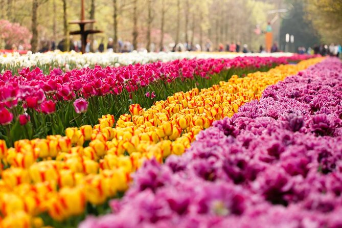 Day Trip to Keukenhof Gardens from Amsterdam with Tour Guide - Why Keukenhof Makes Sense as a Day Trip