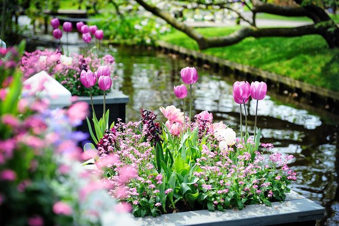 Day Trip to Keukenhof Gardens from Amsterdam with Tour Guide - Inside Keukenhof: Oranje Nassau and the Carolus Clusius Story