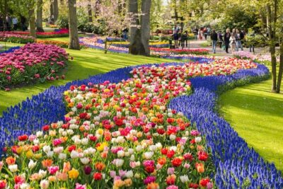 Day Trip to Keukenhof Gardens from Amsterdam with Tour Guide - The Coach Ride: What the Guide Adds Before You Arrive