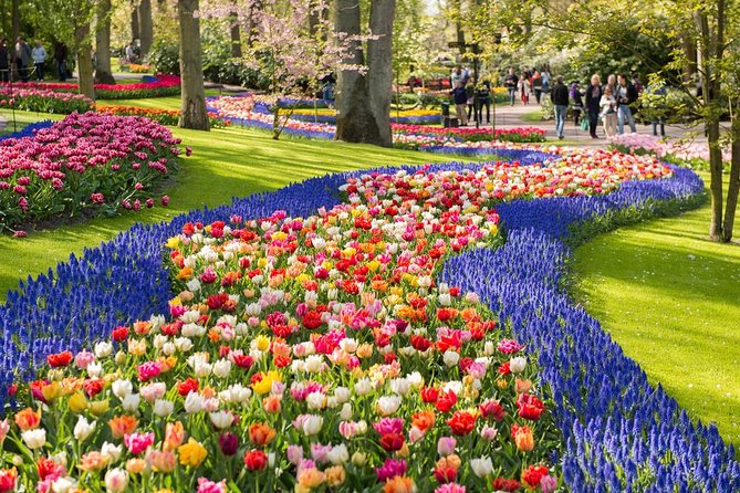 Day Trip to Keukenhof Gardens from Amsterdam with Tour Guide - The Coach Ride: What the Guide Adds Before You Arrive