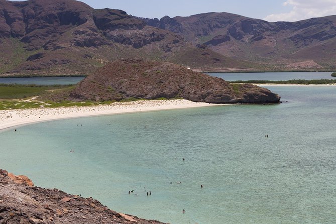 Day Trip to La Paz & Balandra Beach from Cabo San Lucas - Price and What’s Included (and What’s Not)
