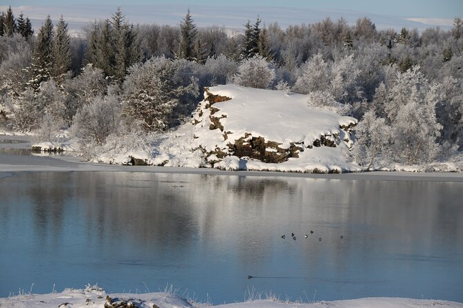 Day Trip to Lake Mývatn And The Nature Baths from Akureyri - Price and value for an 8-hour hit of north Iceland