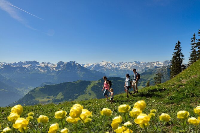 Day Trip to Lucerne and Mount Stanserhorn Including CabriO Cable Car Ride - CabriO Stanserhorn-Bahn: The Roofless 25-Minute Climb