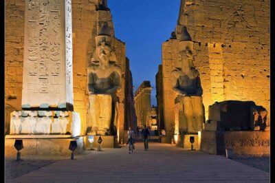 Day Trip To Luxor From Cairo By Plane Including Lunch - Necropolis of Thebes and the Valley of the Kings: Why This Part Feels Special
