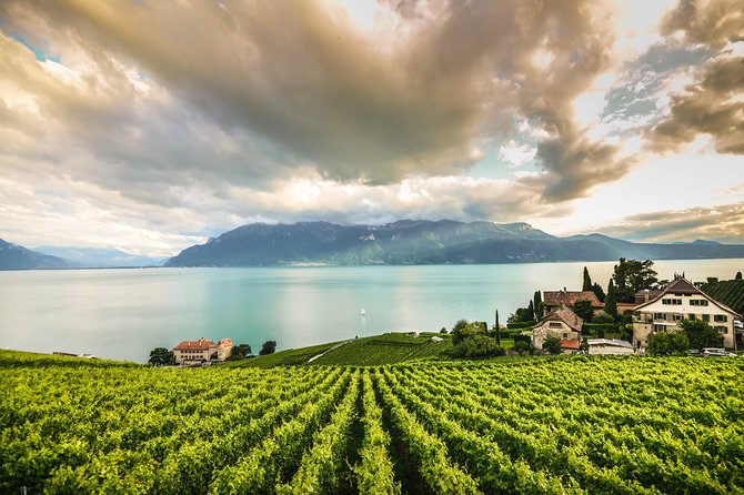Day Trip to Montreux, Chaplin's World & Chillon Castle& apéritif - Geneva to Lausanne and Olympic Detours That Actually Matter