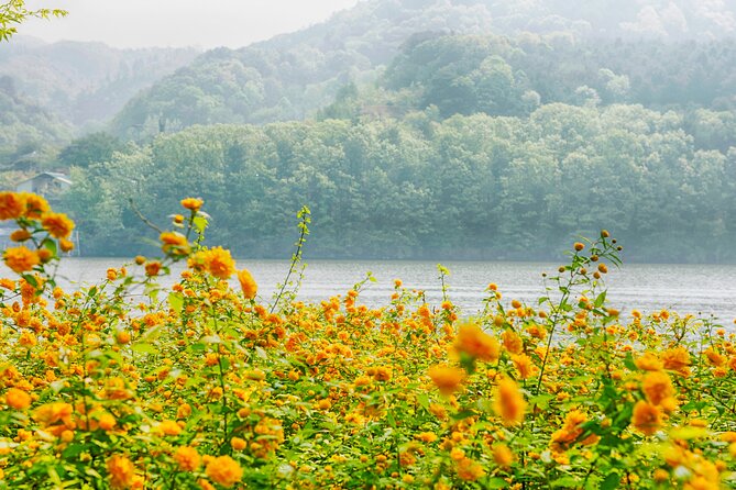 Day Trip to Nami Island with Rail bike and The Garden of Morning Calm - Timing, Traffic, and Why Your Schedule Feeling Matters