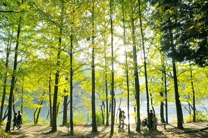 Day Trip to Nami Island with Rail bike and The Garden of Morning Calm - Price and Value: Why $76.19 Can Actually Make Sense