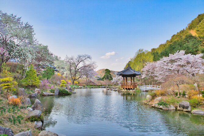 Day Trip to Nami Island with The Garden of Morning Calm - Pickup, Transport, and Time Budget (Why This Tour Feels Easy)