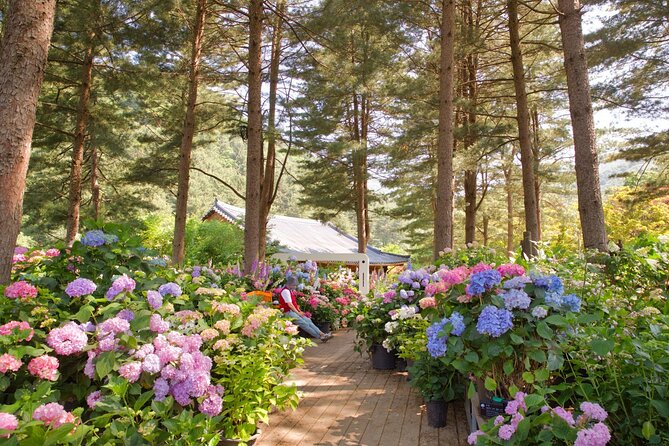 Day Trip to Nami Island with The Garden of Morning Calm - Food on Your Own at Nami (And How to Get the Most Out of It)