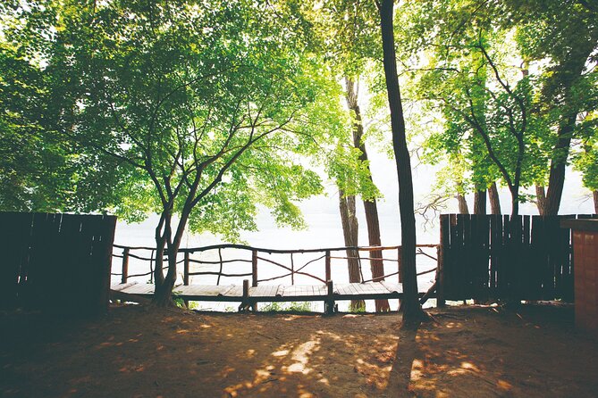 Day Trip to Nami Island with The Garden of Morning Calm - Winter Light Festival and the Eobi Ice Valley Option