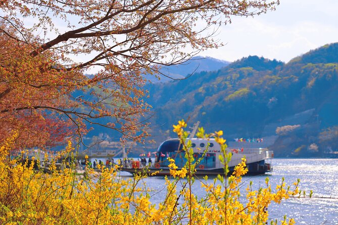 Day Trip to Nami Island with The Garden of Morning Calm - Stop 1: Nami Island Walks, Winter Sonata Roads, and Bike Time